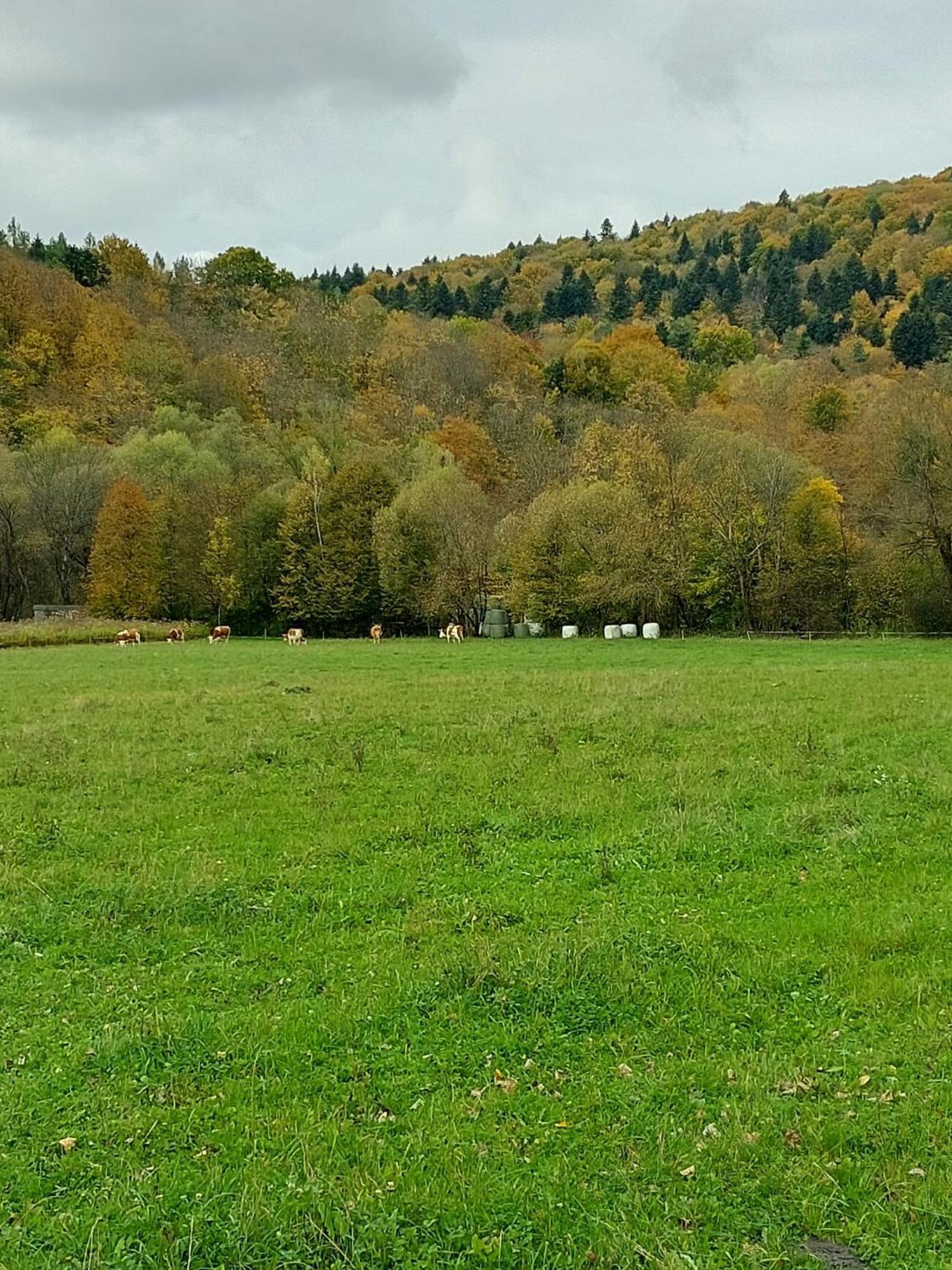 Chata Pod Wyciagiem Wańkowa Exteriör bild
